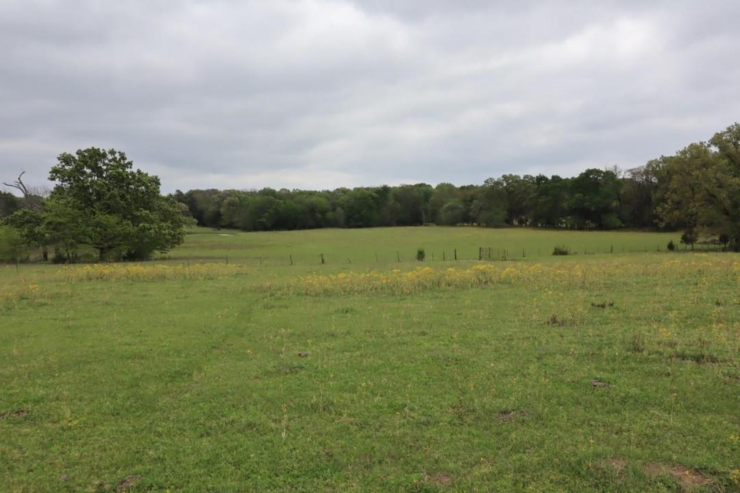 TBD Rs County Road 2365, Alba, テキサス 75410, アメリカ合衆国