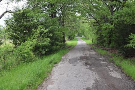 TBD Rs County Road 2365, Alba, テキサス 75410, アメリカ合衆国