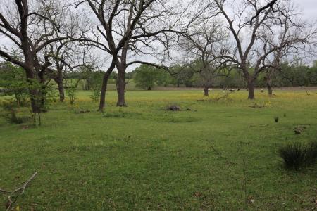 TBD Rs County Road 2365, Alba, テキサス 75410, アメリカ合衆国