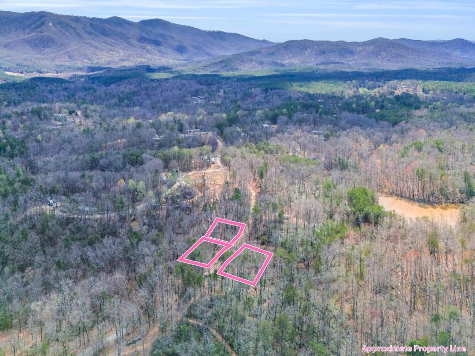 000 Forester Lane Lots 21, 24 & 25, Mill Spring, Caroline Du Nord 28756, États-Unis