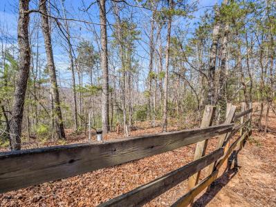 000 Forester Lane Lots 21, 24 & 25, Mill Spring, Caroline Du Nord 28756, États-Unis