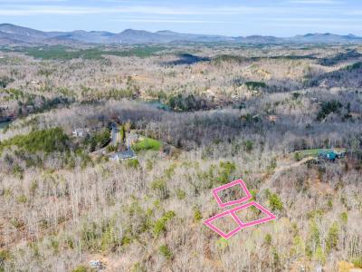 000 Forester Lane Lots 21, 24 & 25, Mill Spring, Caroline Du Nord 28756, États-Unis