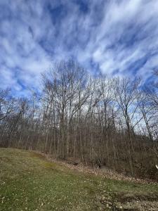 17907 Thunder Ridge, Spencerville, Indiana 46788, USA