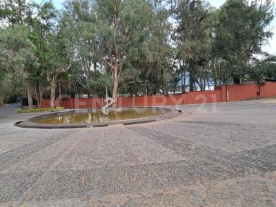 Valle De Bravo, ولاية مكسيكو 51200, المكسيك