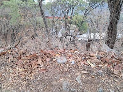 Valle De Bravo, ولاية مكسيكو 51200, المكسيك