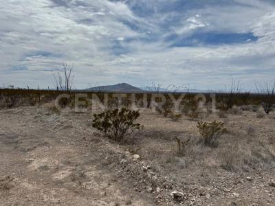 Aldama, Chihuahua 32900, Meksyk