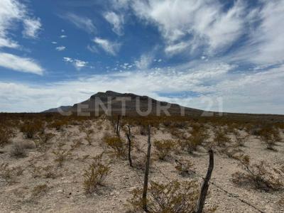 Aldama, Chihuahua 32900, Meksyk