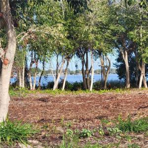 14156 Green Gables Way, Lake Placid, Florida 33852, Estados Unidos