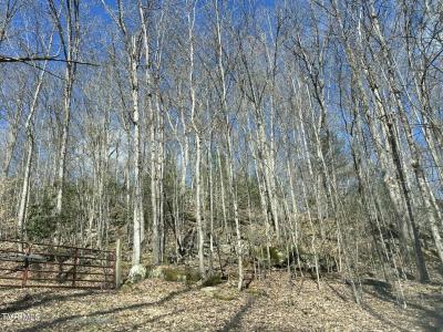 4255 Stone Mountain Road, Coeburn, Virginie 24230, États-Unis