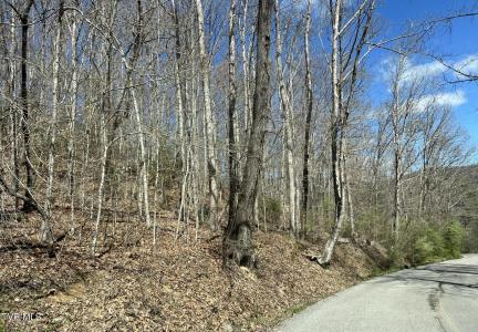 4255 Stone Mountain Road, Coeburn, Virginie 24230, États-Unis
