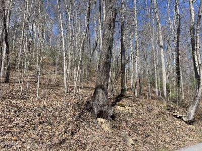 4255 Stone Mountain Road, Coeburn, Virginie 24230, États-Unis