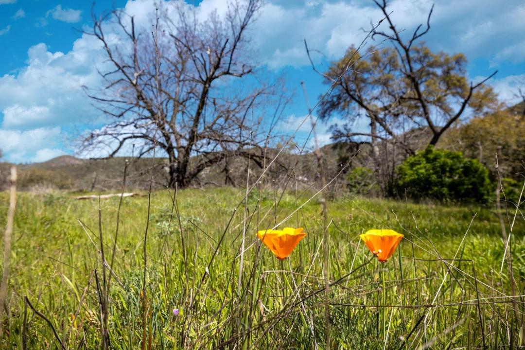 540 Music Gulch Road, Mokelumne Hill, California 95245