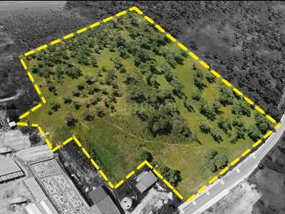 Montemor O Novo, Evora 7050-611, Portogallo