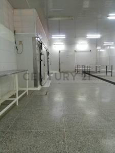 Cumaná, Sucre 6101, Venezuela
