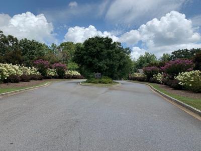Lot 112 Fox Lake, Blairsville, Georgia 30512, Estados Unidos