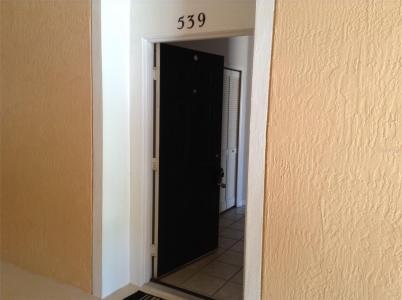 13536 Turtle Marsh Loop #539, ORLANDO, Florida 32837, Estados Unidos