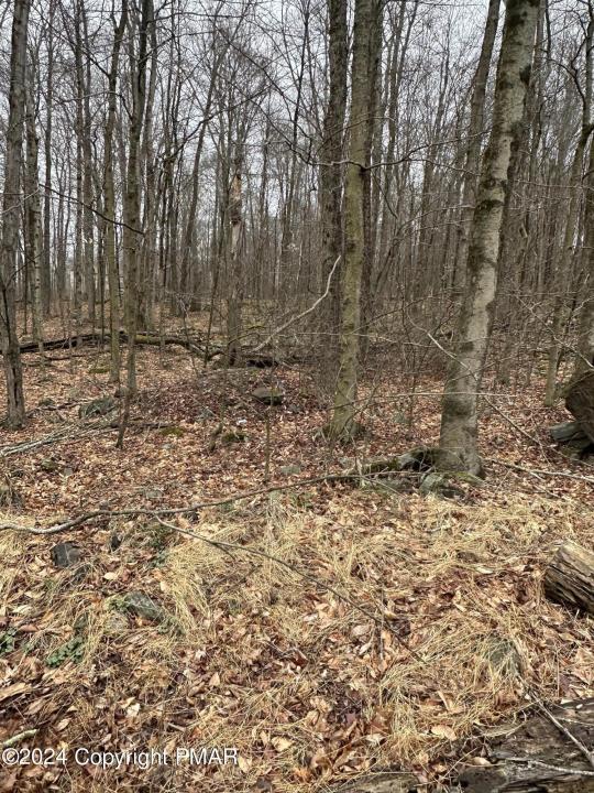 Lr 45039 7 Locust Ridge, Pocono Lake, Pennsylvania 18347, Estados Unidos