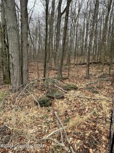 Lr 45039 7 Locust Ridge, Pocono Lake, Pennsylvania 18347, Estados Unidos