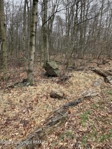Lr 45039 7 Locust Ridge, Pocono Lake, Pennsylvania 18347, Estados Unidos
