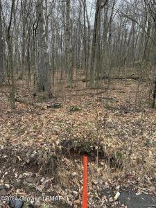 Lr 45039 7 Locust Ridge, Pocono Lake, Pennsylvania 18347, Estados Unidos