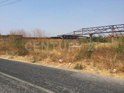 Tequesquitengo, מורלוס 62915, מקסיקו 