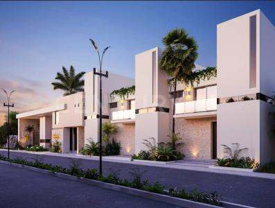 Cozumel, Quintana Roo 77664, Mexico