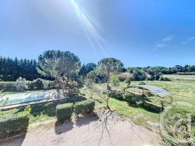 Thuir, Languedoc-Roussillon 66300, France