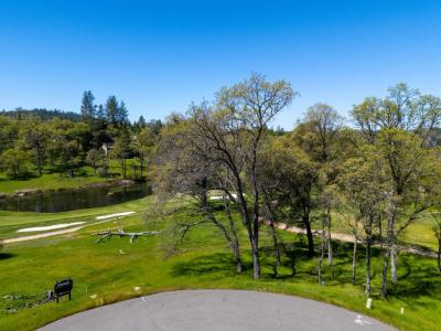 12448 Nicklaus Court, Auburn, Kalifornien 95602, USA