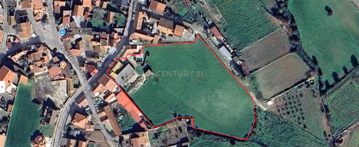 Mafra, Lisbon 2665-376, Portugal