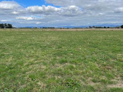 6 Daltons Road, Newbury, Manawatu District 4475, Nova Zelândia