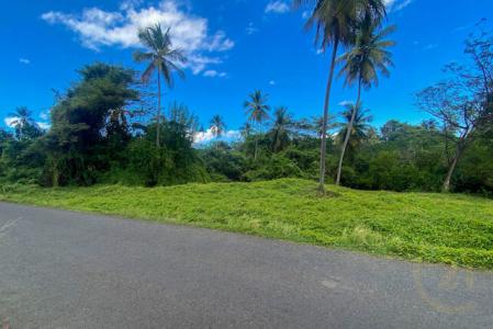 River Antoine Main Road Lot, River Antoine, Tivoli, St.Patrick West Indies, Grenada