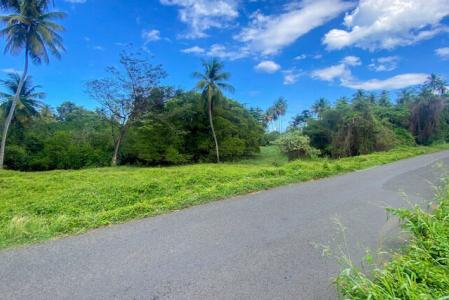 River Antoine Main Road Lot, River Antoine, Tivoli, St.Patrick West Indies, Grenada