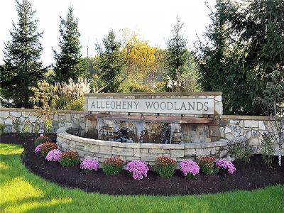 616 Cedar Ridge Drive, Allegheny Twp - Wml, Pennsylvania 15656, Stati Uniti