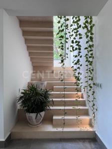 Altamira, Тамаулипас 89601, Мексика