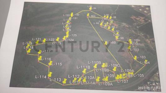 Yagua, Carabobo 00001, Venezuela