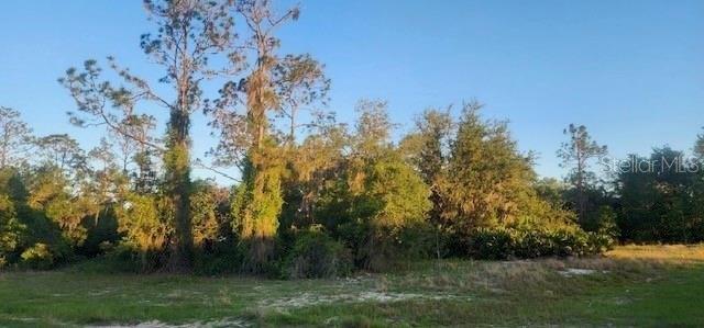 1331 CONGO DRIVE, POINCIANA, Florida 34759, Estados Unidos