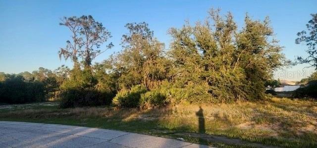 1331 CONGO DRIVE, POINCIANA, Florida 34759, Estados Unidos