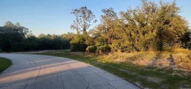 1331 CONGO DRIVE, POINCIANA, Florida 34759, Estados Unidos