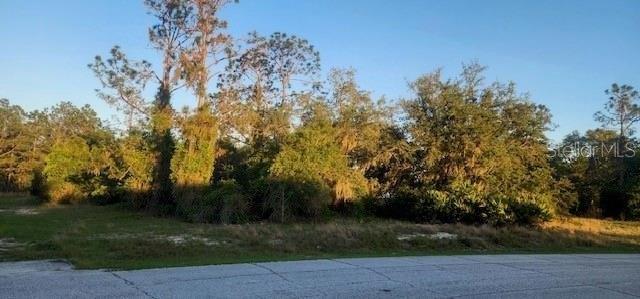 1331 CONGO DRIVE, POINCIANA, Florida 34759, Estados Unidos