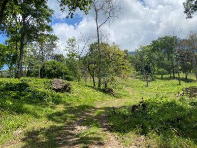 Ojochal Puerto Cortés Osa, Puntarenas 60501, Costa Rica