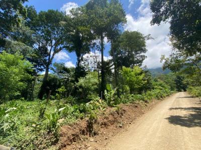 Ojochal Puerto Cortés Osa, Puntarenas 60501, 哥斯达黎加