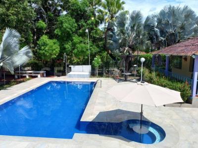 Carmen De Apicala, Tolima 250240, Colombie