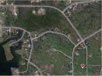 15390 Wurm Road, Wolverine, Michigan 49799, USA