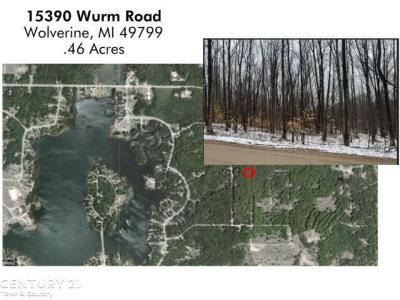 15390 Wurm Road, Wolverine, Michigan 49799, Estados Unidos