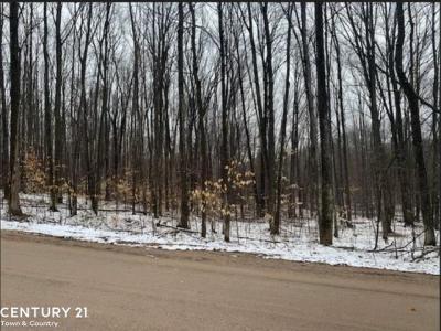 15390 Wurm Road, Wolverine, Michigan 49799, Estados Unidos