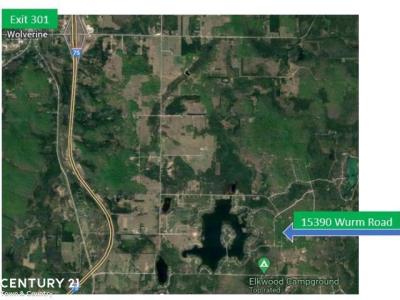15390 Wurm Road, Wolverine, Michigan 49799, USA