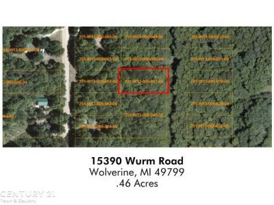 15390 Wurm Road, Wolverine, Michigan 49799, Estados Unidos