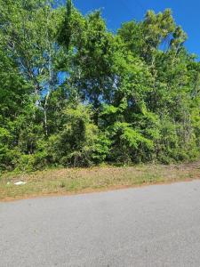 2395 Killdee, Sumter, South Carolina 29154, Stati Uniti