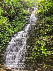 Dominicalito Bahía Ballena Osa, Puntarenas 00001, Kosta Rika
