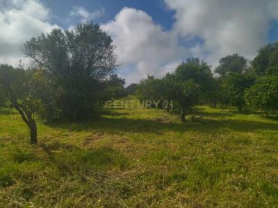 Olhão, Фару 8700-206, Португалия